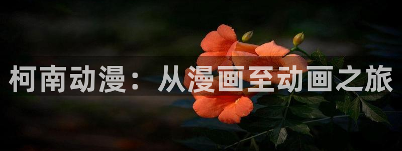 羞羞的漫画韩漫免费：柯南动漫：从漫画至动画之旅
