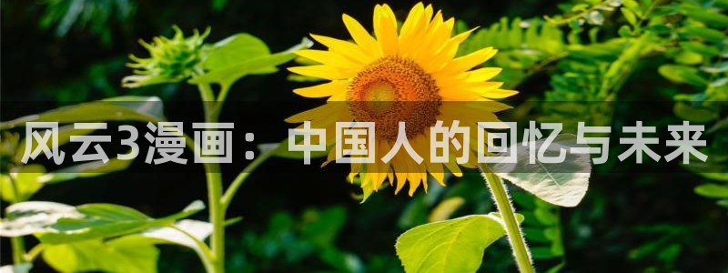 羞羞漫画歪歪漫画韩漫sss：风云3漫画：中国人的回忆与未来