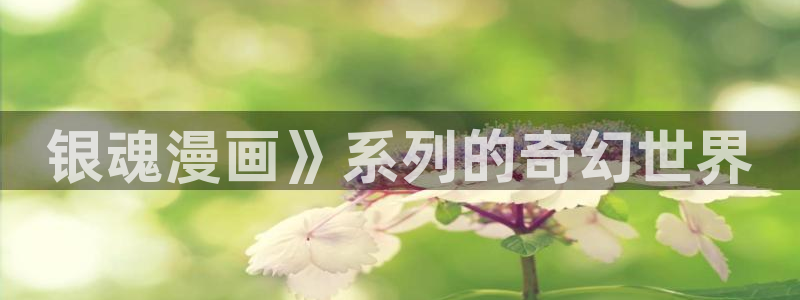 韩漫污免费网站：银魂漫画》系列的奇幻世界
