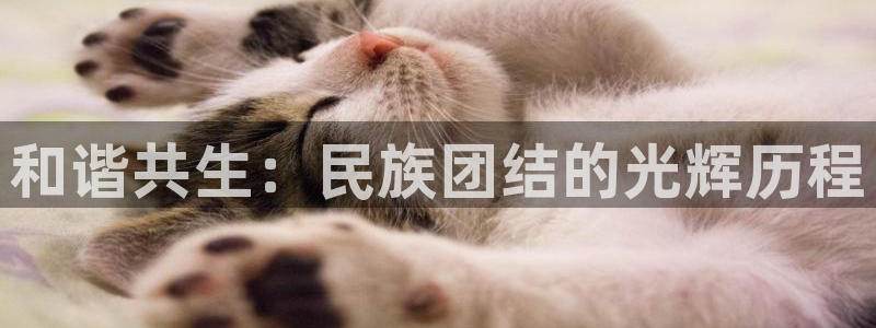 漫画之家韩漫在线阅读：和谐共生：民族团结的光辉历程