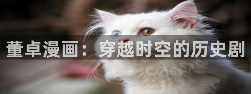 韩漫免费动漫在线观看阅读：董卓漫画：穿越时空的历史剧