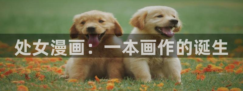 好看韩漫在线看
