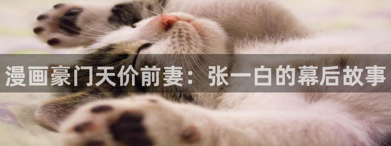 男男韩漫在线观看：漫画豪门天价前妻：张一白的幕后故事