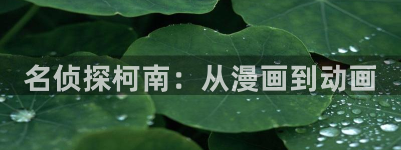 免费韩漫网站入口在线看：名侦探柯南：从漫画到动画