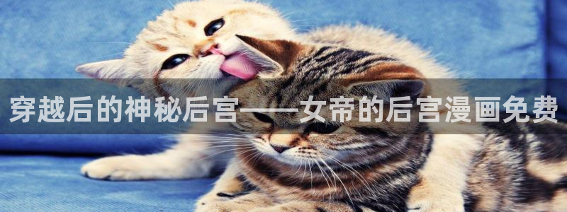 韩漫大全免费：穿越后的神秘后宫——女帝的后宫漫画免费
