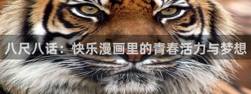 高h韩漫画：八尺八话：快乐漫画里的青春活力与梦想