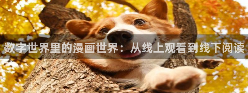 韩漫歪歪漫画免费网站：数字世界里的漫画世界：从线上观看到线下阅读